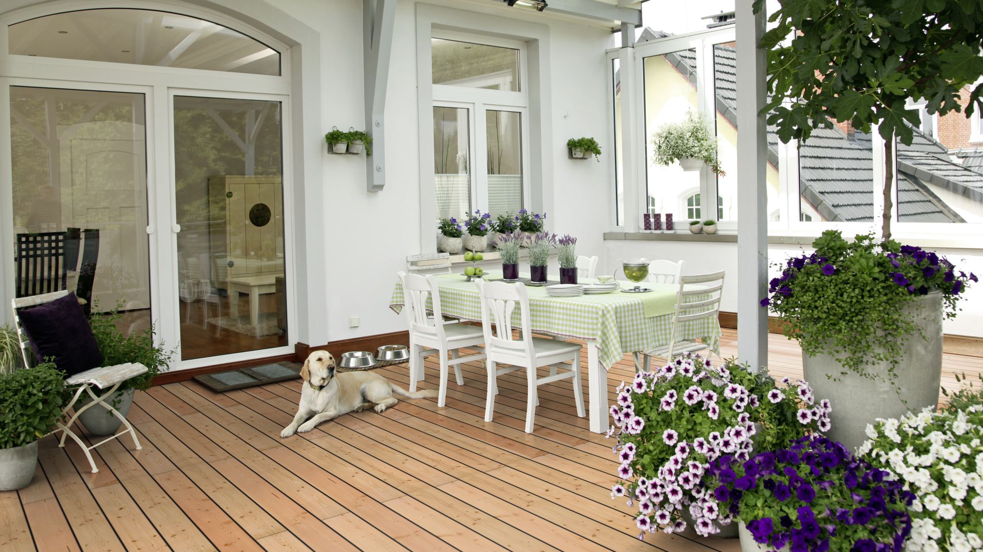 Douglasie kanadisch VEH A/B KD  glatt  Terrassendiele Beispielfoto Garten