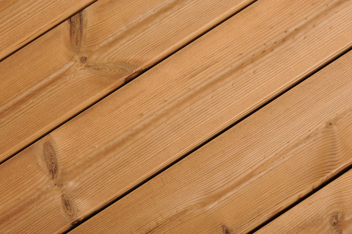 Thermo-Kiefer Detailfoto